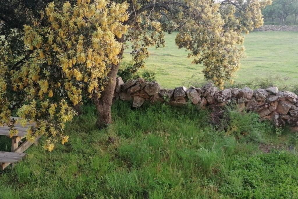Casa Namaste - Ortigosa Del Monte Villa Kültér fotó