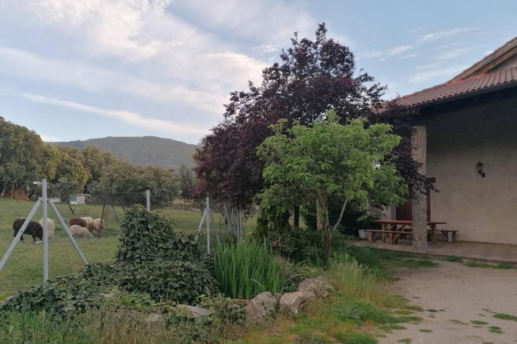 Casa Namaste - Ortigosa Del Monte Villa Kültér fotó